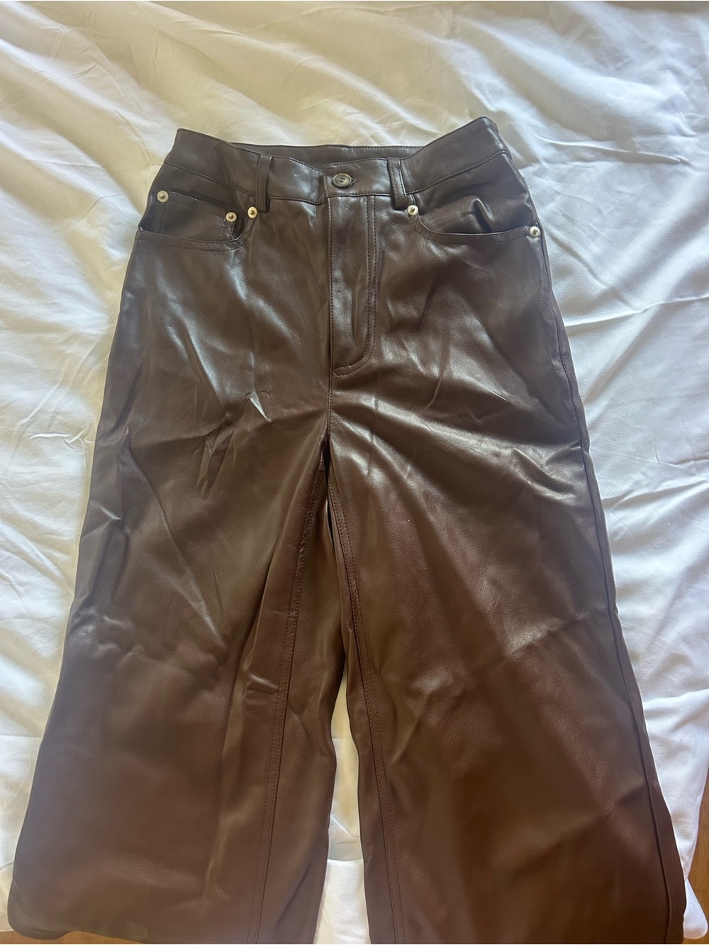 Urban Outfitters Brown Faux Leather Pants